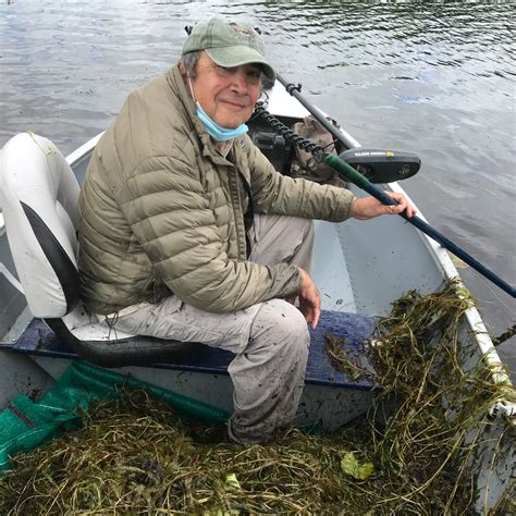 Curly-leaf pondweed removal - Iron County Outdoor Recreation Enthusiasts (ICORE)