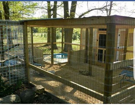 Great duck enclosure | Chickens backyard, Duck house, Duck enclosure