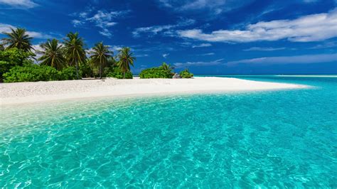 9 Best Beaches in Tahiti | Worldwide Boat