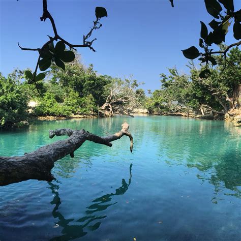 Blue Lagoon, Port Vila, Vanuatu. Amazing. | Port vila, Places to visit, Vanuatu