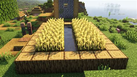 Top 5 crops worth farming in Minecraft