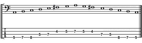 Bass Scales Reference: All Bass Guitar Scales TAB, Notation & Patterns