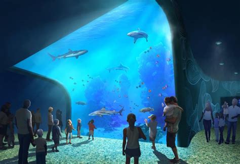 St. Louis Aquarium at Union Station sets Christmas Day opening | blooloop