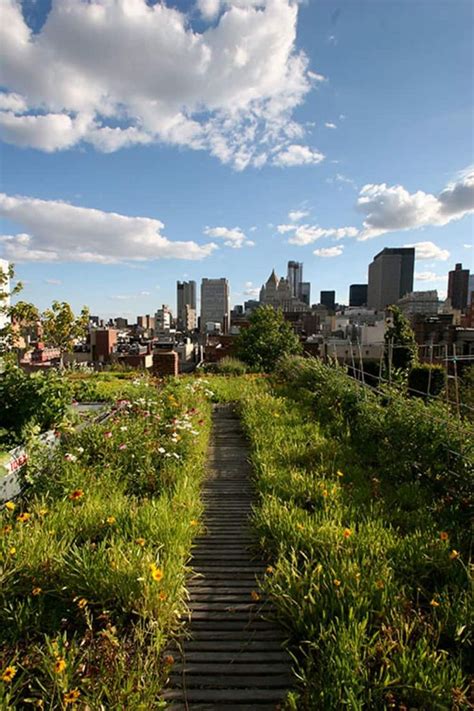 Urban Retreats: 10 Dreamy Rooftop Gardens | Rooftop garden urban ...