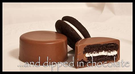 NEW ~ chocolate covered oreo cakesters | Oreo cakesters, Chocolate covered oreos, Mini cheesecake