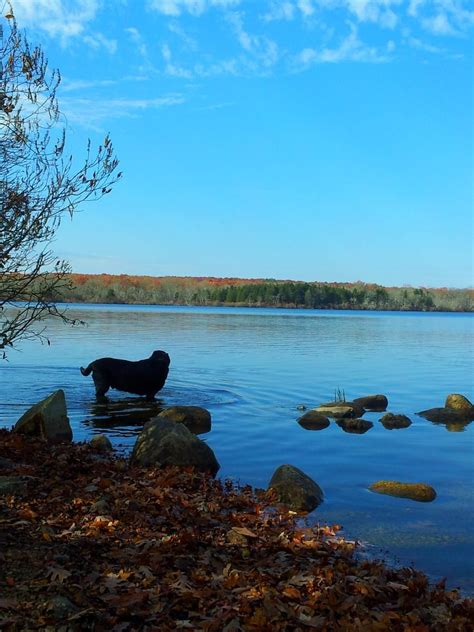 Burlingame State Park | Rhode island history, State parks, State forest