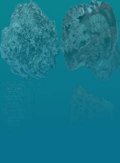 Basics of Metallurgy | Definition, Examples, Diagrams