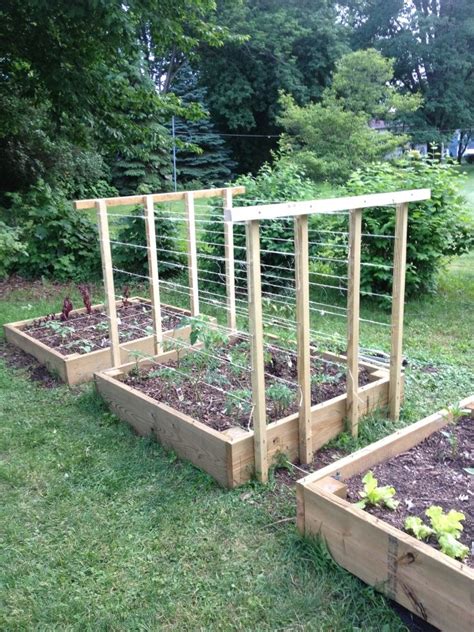 My tomato trellis. | Vegetable garden design, Tomato trellis, Home vegetable garden