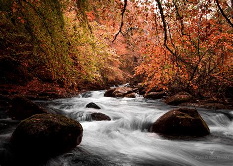 The Birks of Aberfeldy in Autumn Aberfeldy Scotland [5249x3749 ...