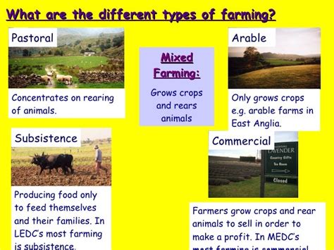 Farming System, Types And Decisions And Distribution Ap