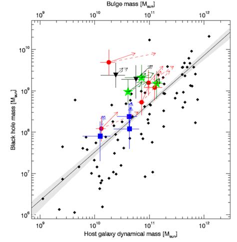 The mass of the black hole as a function of the dynamical mass of ...