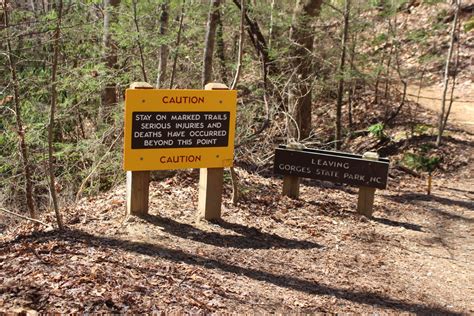 Gorges State Park, North Carolina - Sharing Horizons