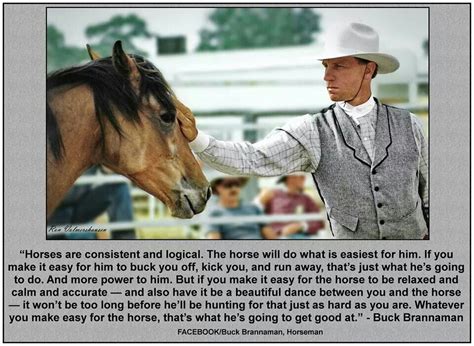 "Buck brannaman" | Horses, Buck brannaman, Inspirational horse quotes