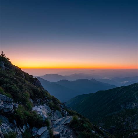 A new center to boost biodiversity of Qinling Mountains - CGTN