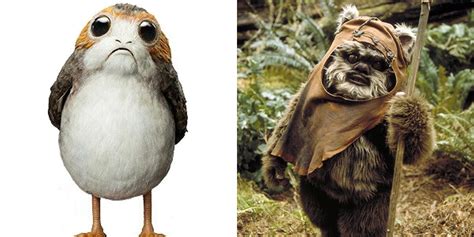 Star Wars: Things You Didn't Know About Porgs