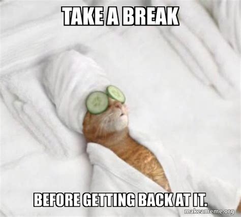 Take a break before getting back at it. - Pampered Cat Meme Meme Generator