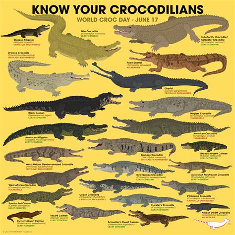 World Croc Day