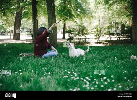 Dog playing fetch Stock Photo - Alamy