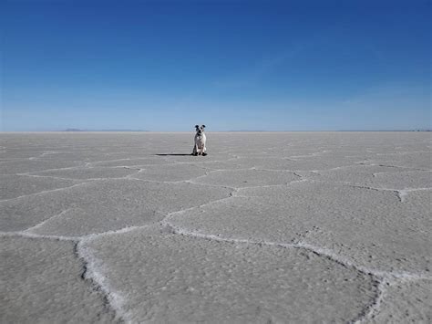 Bonneville Salt Flats - 4 Seasons of Winter