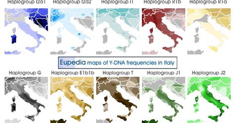 Distribution maps of Y-DNA haplogroups in Italy | Dna history, Genetics, Italian people