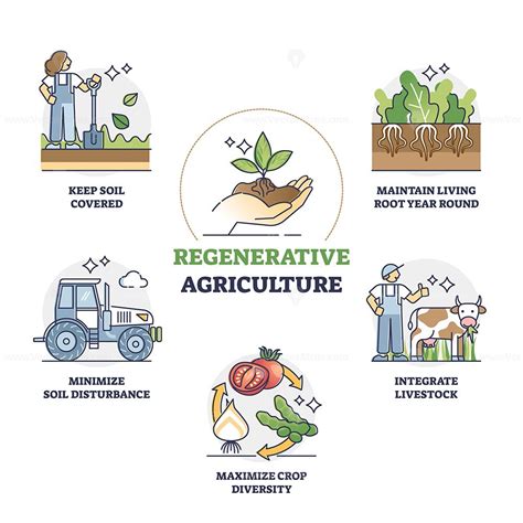 Regenerative agriculture method for soil health and vitality outline ...