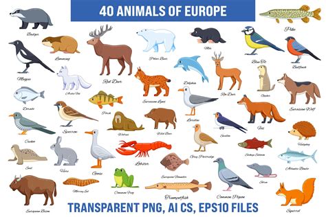 Animals of Europe Collection