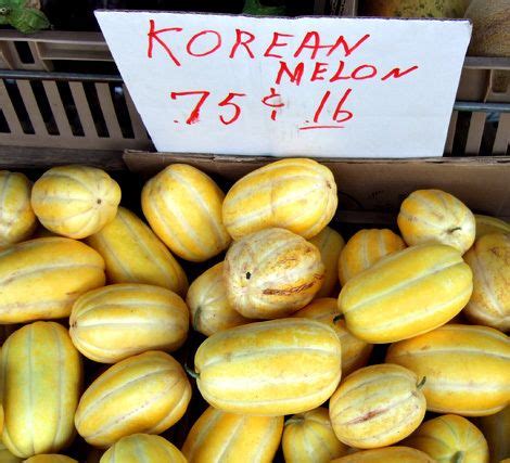 Korean melon | Miller Organic Farm | Pinterest | Farmers