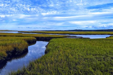 6 Fantastic Mass Audubon Cape Cod Wildlife Sanctuaries to Visit This Year