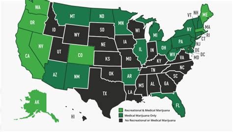 Louisiana Medical Marijuana's Law 2024 - Dusty Glynnis