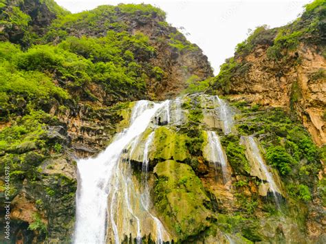 Salalah in Oman, season of Khareef A view of green nature Stock Photo | Adobe Stock