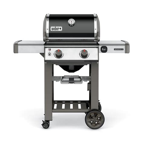 Weber 2 Burner Gas Grill - Decor Ideas