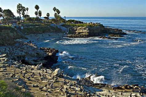 Search For Swimmer at La Jolla Cove Called Off | La Jolla, CA Patch