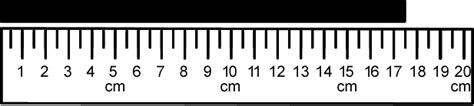 Measuring Length