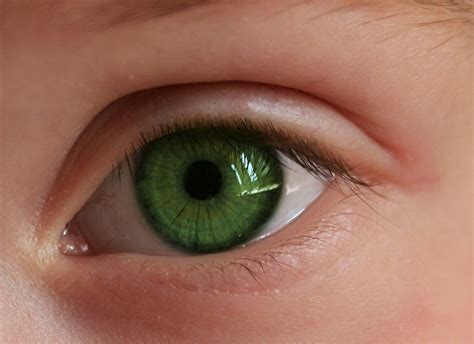 Resultado de imagen para ojos de color | Eye color facts, Green eyes ...