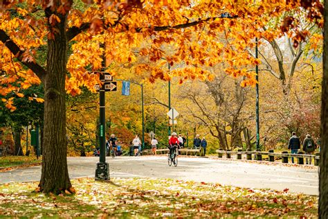 12+ Epic Spots to See Fall Foliage in Central Park - New York Simply