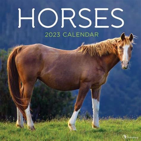 Calendar 2023 Horse – Get Calendar 2023 Update