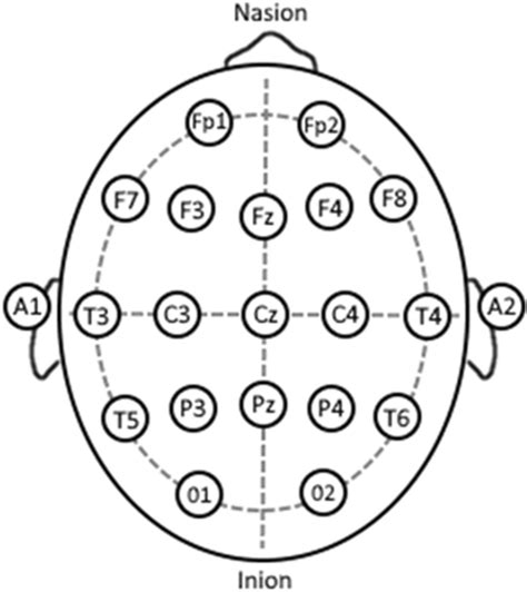 10–20 EEG Placement System. Each circle on the head represents EEG... | Download Scientific Diagram