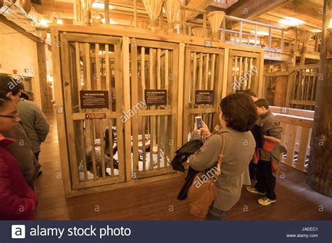 Ark encounter visitors look at animal cage exhibits showing how Stock Photo, Royalty Free Image ...