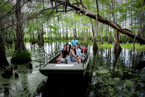 Cajun Encounters Swamp Tour - Pick Up | Tour Like Local | Joieful