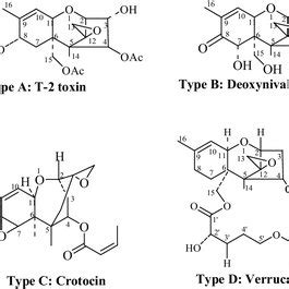 Chemical structure of trichothecenes (types A–D) | Download Scientific ...