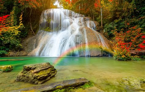 Wallpaper autumn, forest, nature, waterfall, rainbow, stream images for ...