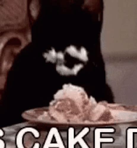 Cat Cake GIF - Cat Cake Eating - Discover & Share GIFs