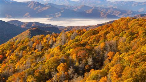 Great Smoky Mountains National Park 2021: Top 10 tours en activiteiten ...