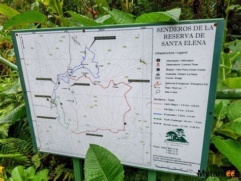 a map is posted on a sign in the jungle with lots of green plants around it