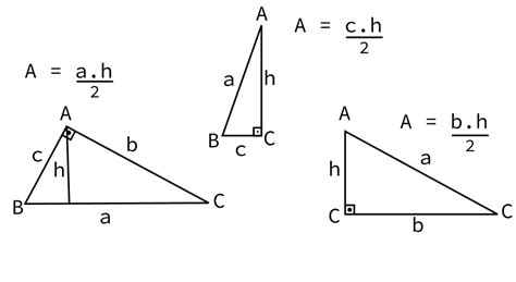 mensual complemento oler area de um triangulo retangulo Torpe películas necesario