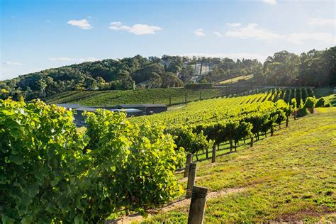 The best things to do in the Adelaide Hills (2024)