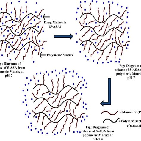 In-vitro drug (5-ASA) release profile in a acidic (pH 2.0) dissolution ...