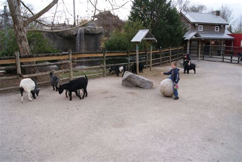 Chattanooga Zoo - Review, Details, and Pictures