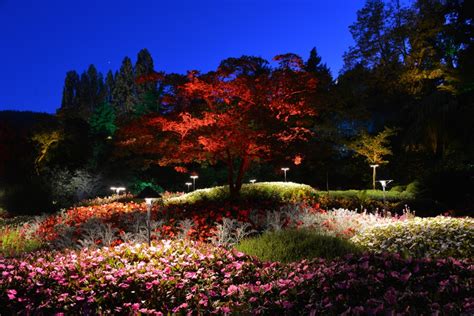 Butchart Gardens Fireworks Times | Fasci Garden