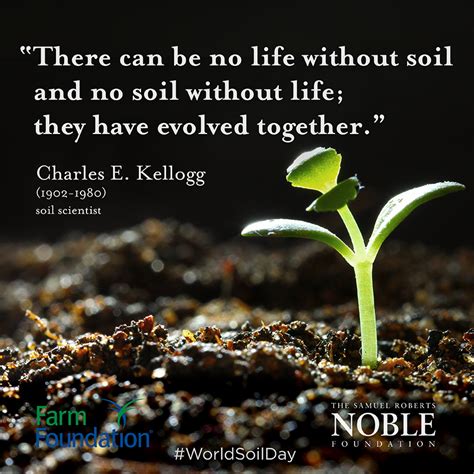 World Soil Day! | Soils and Crops | Pinterest